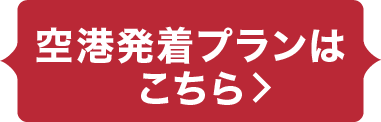 空港発着プランはこちら